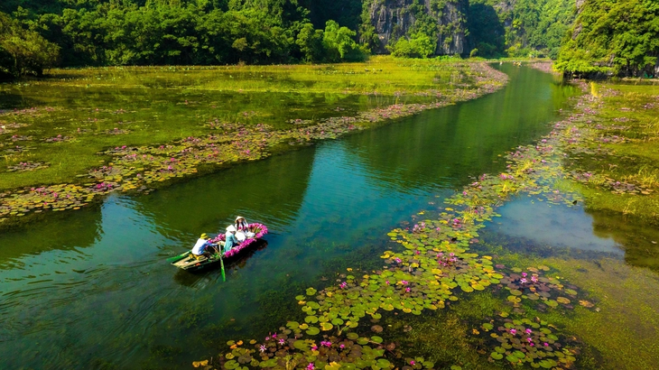 Tam Cốc đẹp tinh khôi mùa hoa súng nở rộ - ảnh 2