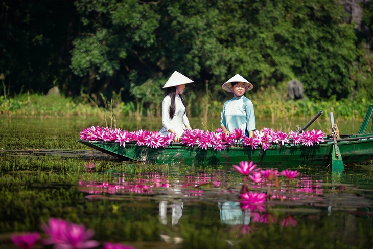 Tam Cốc đẹp tinh khôi mùa hoa súng nở rộ - ảnh 6