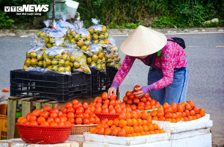 Mê mẩn mùa hồng chín rộ ở xứ sở sương mù Đà Lạt - ảnh 10