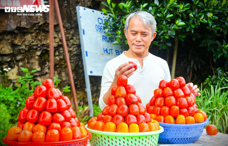 Mê mẩn mùa hồng chín rộ ở xứ sở sương mù Đà Lạt - ảnh 14