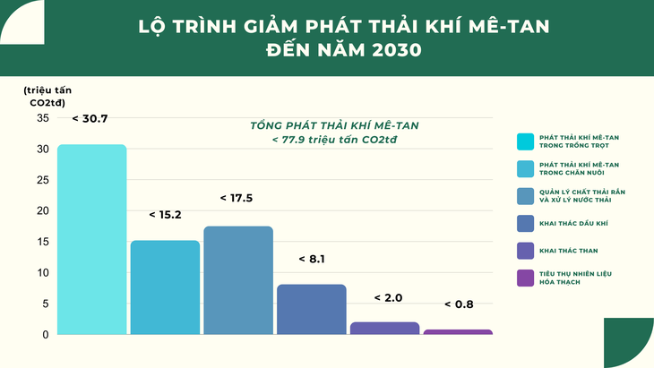 Việt Nam cam kết giảm ít nhất 30% tổng lượng phát thải khí mê-tan vào năm 2030 - ảnh 5