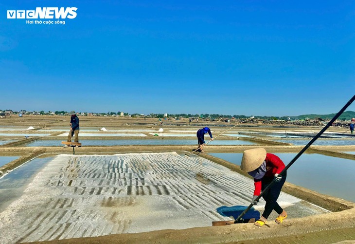 Diêm dân 'đội nắng' cào muối trên cánh đồng hơn 200 năm tuổi - ảnh 2