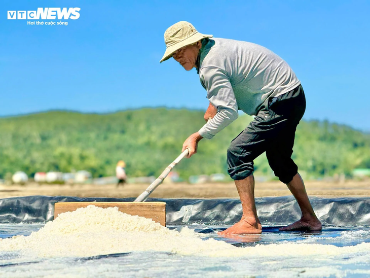 Diêm dân 'đội nắng' cào muối trên cánh đồng hơn 200 năm tuổi - ảnh 3