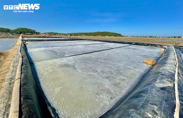 Diêm dân 'đội nắng' cào muối trên cánh đồng hơn 200 năm tuổi - ảnh 4