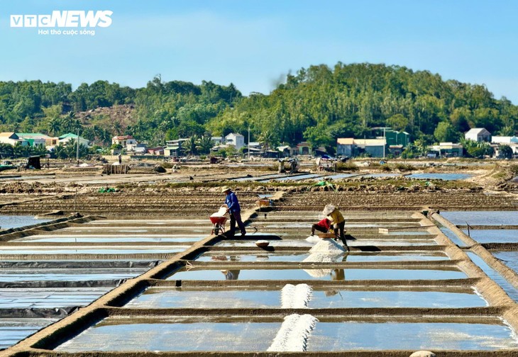 Diêm dân 'đội nắng' cào muối trên cánh đồng hơn 200 năm tuổi - ảnh 6