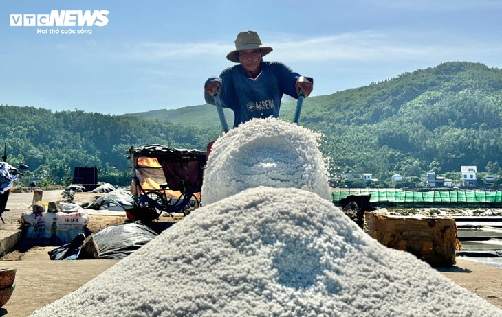 Diêm dân 'đội nắng' cào muối trên cánh đồng hơn 200 năm tuổi - ảnh 8
