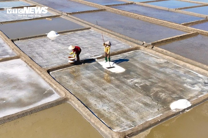 Diêm dân 'đội nắng' cào muối trên cánh đồng hơn 200 năm tuổi - ảnh 9
