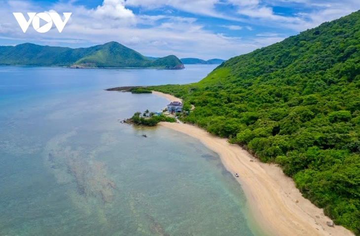 Khám phá nét hoang sơ hệ sinh thái rừng - biển ở Côn Đảo - ảnh 1