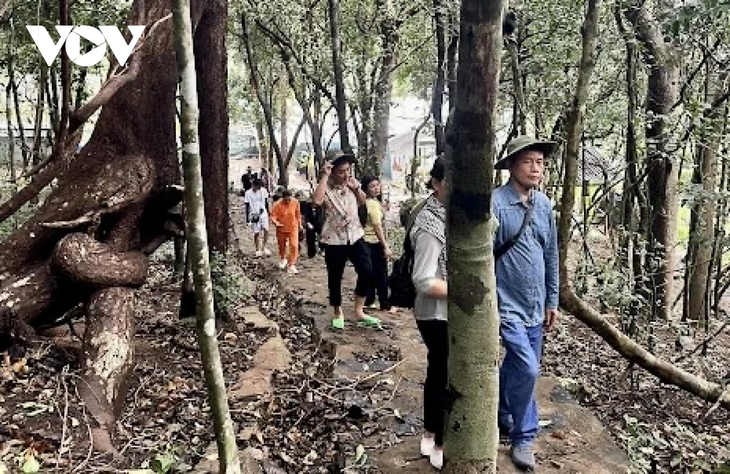 Khám phá nét hoang sơ hệ sinh thái rừng - biển ở Côn Đảo - ảnh 2