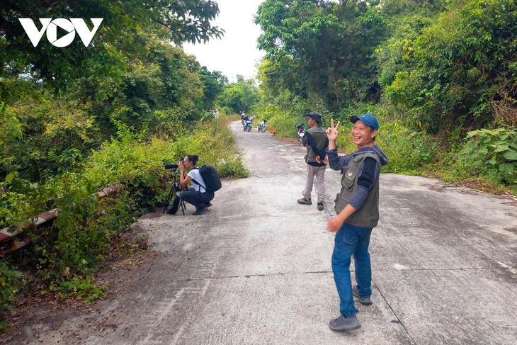 Rực rỡ mùa cây rừng thay lá trên bán đảo Sơn Trà - ảnh 11
