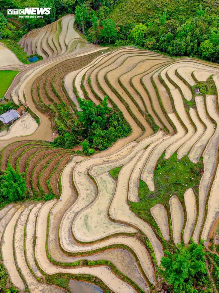 Ngỡ ngàng trước vẻ đẹp mùa nước đổ trên ruộng bậc thang ở Lào Cai - ảnh 4