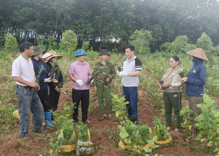 Dự án 100 triệu cây đàn hương - Chung tay vì một Việt Nam xanh - ảnh 3