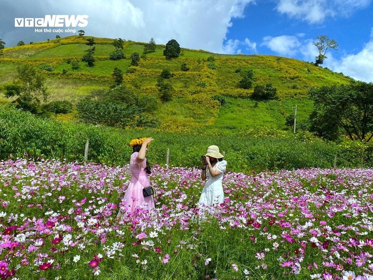 Chiêm ngưỡng núi lửa Chư Đăng Ya triệu năm tuổi ở Gia Lai - ảnh 9
