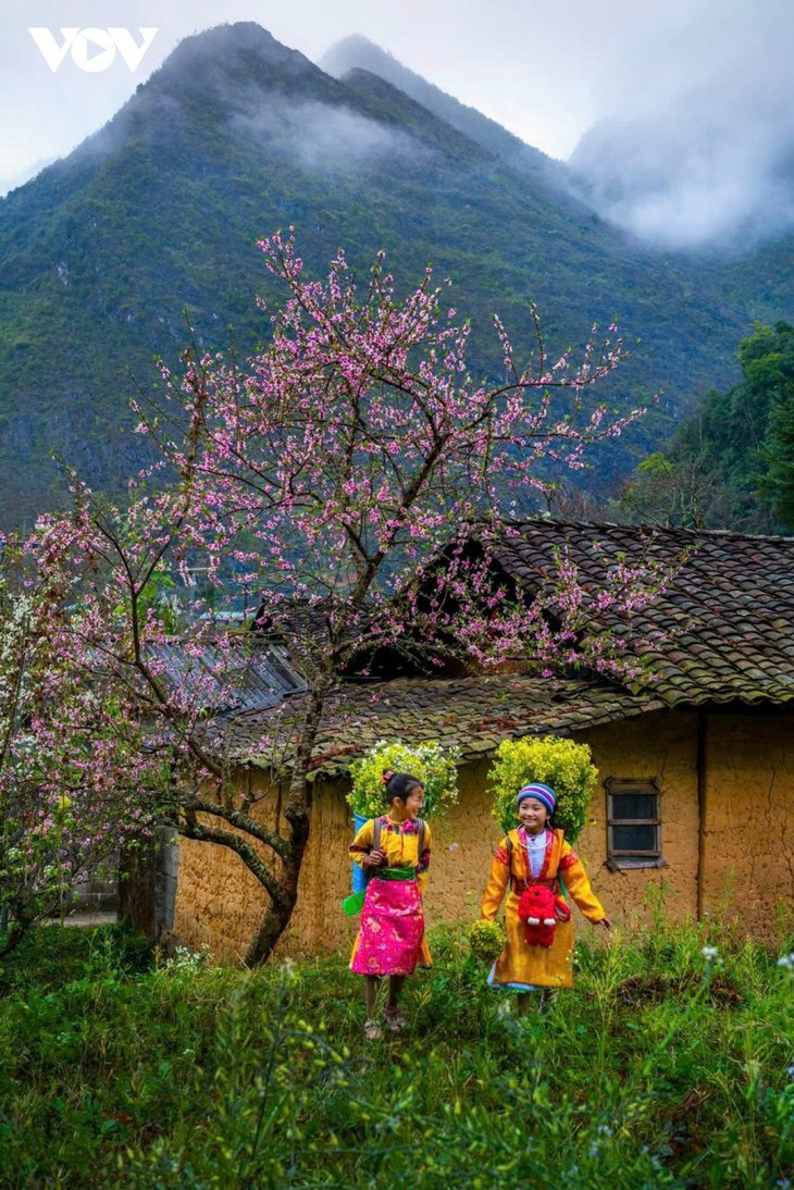 Hà Giang: Bản tình ca trên đá và những mùa xuân không tuổi - ảnh 12