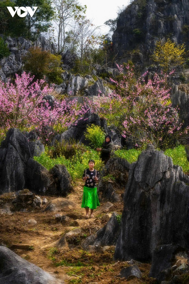 Hà Giang: Bản tình ca trên đá và những mùa xuân không tuổi - ảnh 13