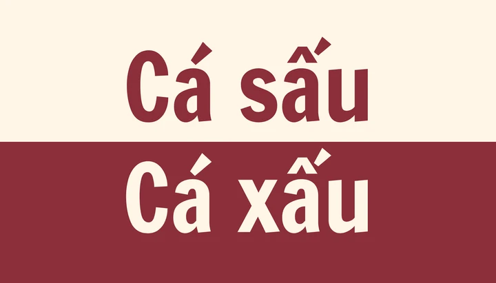 “Cá sấu” hay “cá xấu”, đâu mới là cách viết đúng chính tả? - ảnh 1
