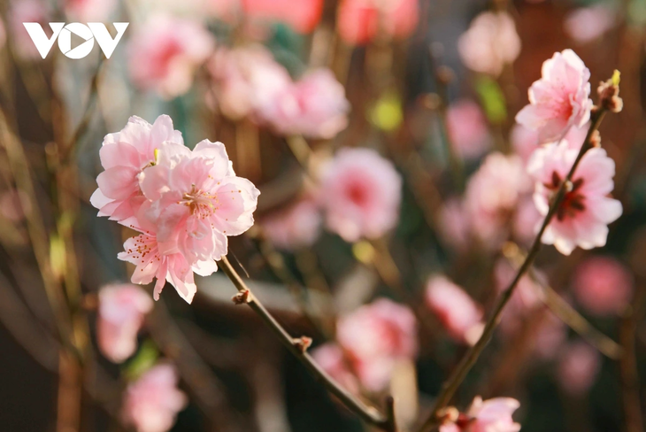 Du khách hào hứng trải nghiệm không gian “Tết chiến sĩ Điện Biên - Xuân 1954” - ảnh 8