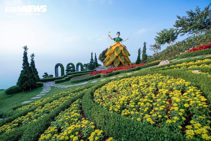  Đầu năm lên núi Bà Đen check-in với vườn hoa tulip rực sắc - ảnh 16