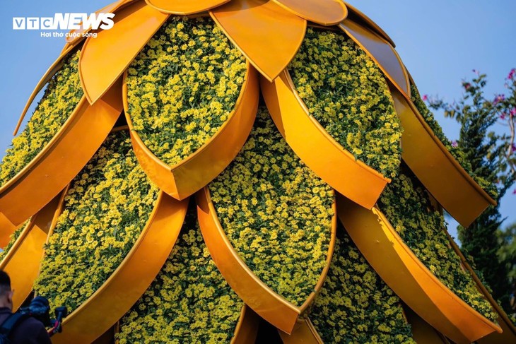 Đầu năm lên núi Bà Đen check-in với vườn hoa tulip rực sắc - ảnh 17