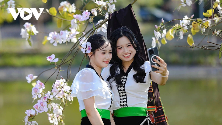 Hoa ban rực rỡ núi rừng, gọi mời du khách đến với Lễ hội hoa ban Điện Biên 2026 - ảnh 4