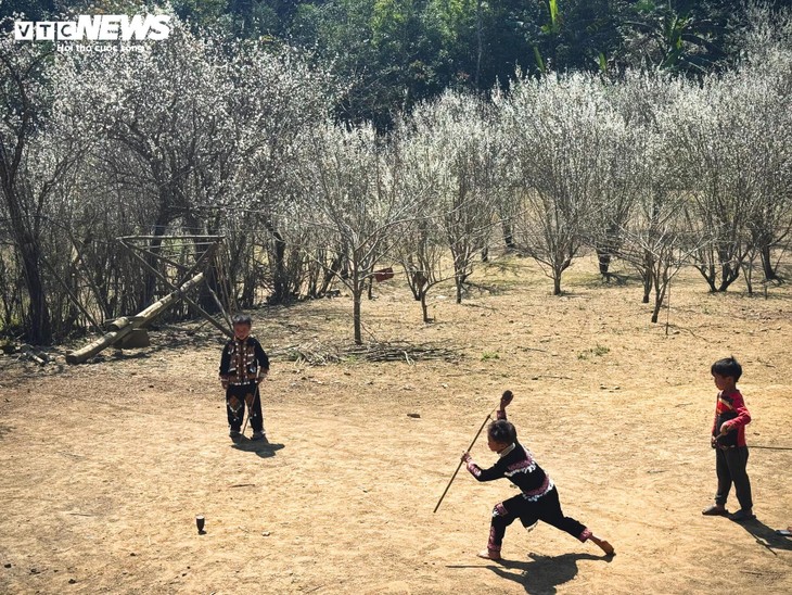 Núi rừng Lào Cai phủ trắng sắc hoa mận cuối tháng 2 - ảnh 10