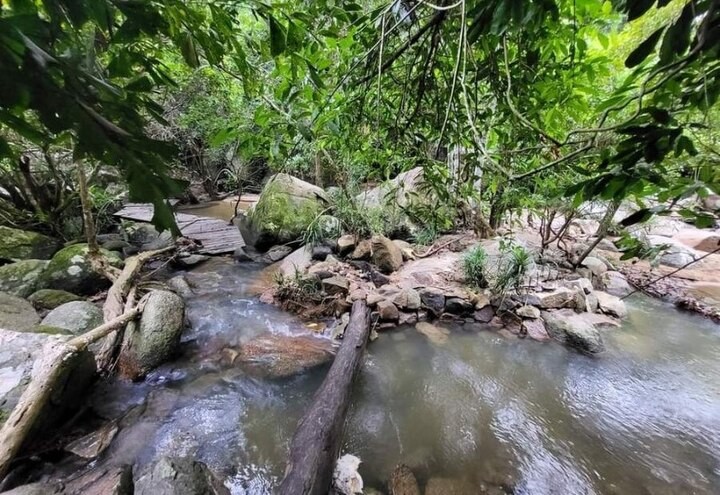 Khánh Hòa tăng tốc chuyển đổi du lịch xanh - ảnh 2