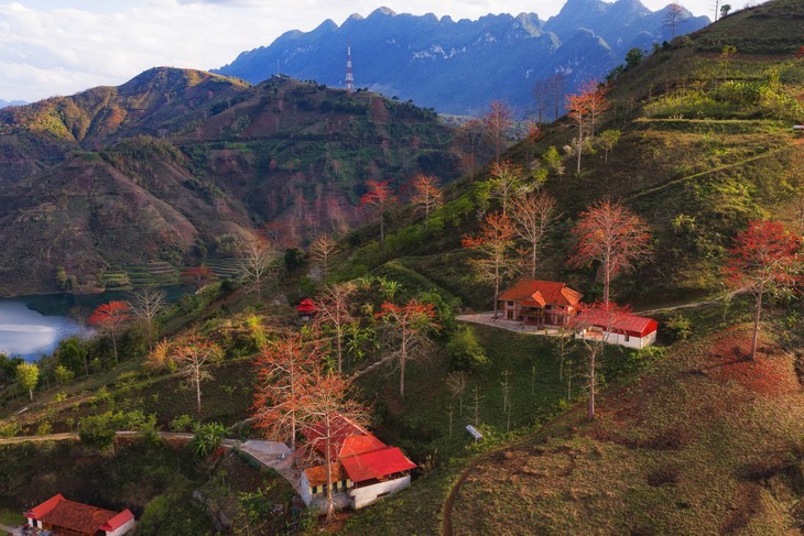 Ngắm hoa gạo bung nở đỏ rực giữa núi rừng Sơn La - ảnh 13