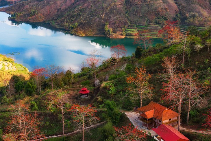 Ngắm hoa gạo bung nở đỏ rực giữa núi rừng Sơn La - ảnh 1