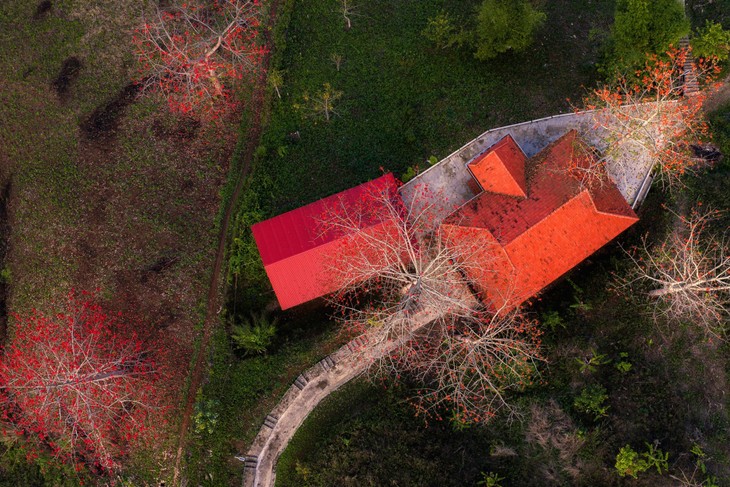 Ngắm hoa gạo bung nở đỏ rực giữa núi rừng Sơn La - ảnh 5