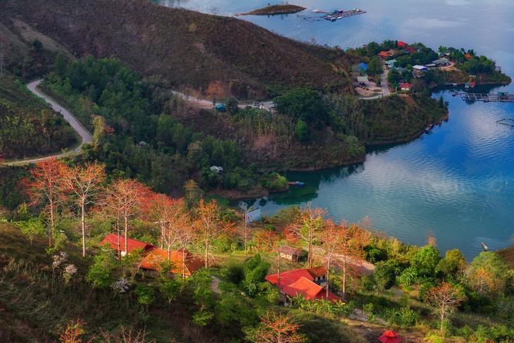 Ngắm hoa gạo bung nở đỏ rực giữa núi rừng Sơn La - ảnh 8