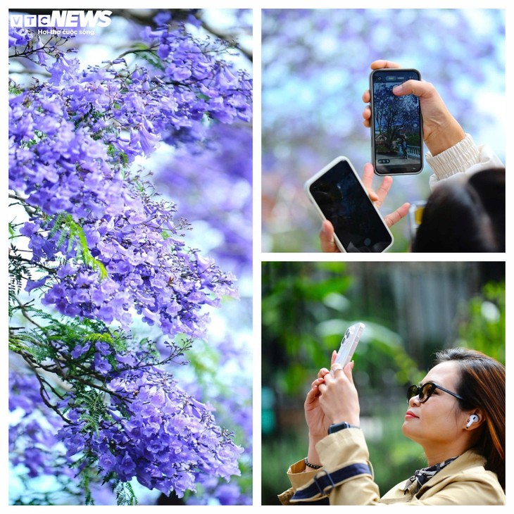 Ngắm Đà Lạt tím biếc trong nắng tháng Ba - ảnh 9