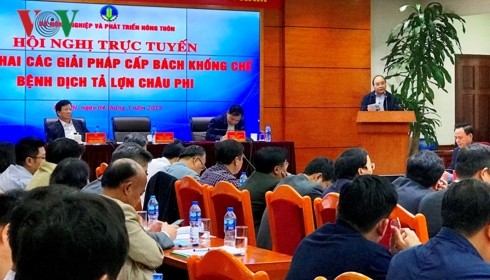 아프리카 돼지열병 방지 대책 없이는 경제적 손해 가능성이 높다    - ảnh 1