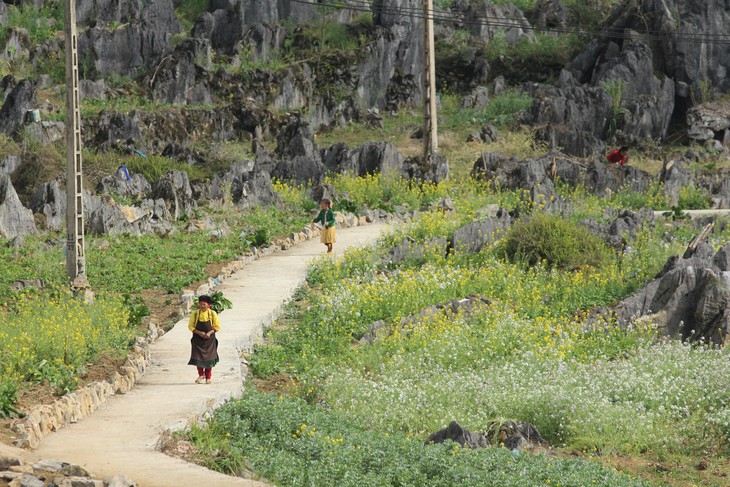 Hà Giang - đất và người - ảnh 2