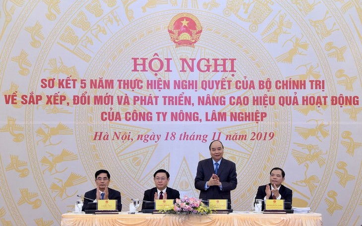  Thủ tướng chỉ đạo đánh giá lại thực trạng đất đai nông lâm trường  - ảnh 1