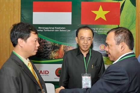 Dialog bilateral ke-2 Indonesia-Vietnam dalam Kerangka AWE - ảnh 1