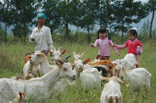 Aktivitas-aktivitas  sehubungan dengan Hari Anak-Anak Internasional (1 Juni)  di Vietnam - ảnh 3