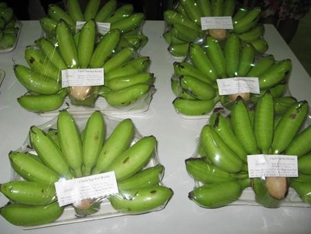 Pisang  banyak ditanam di Vietnam  - ảnh 3