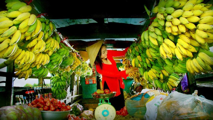 Pisang banyak ditanam di Vietnam  - ảnh 1