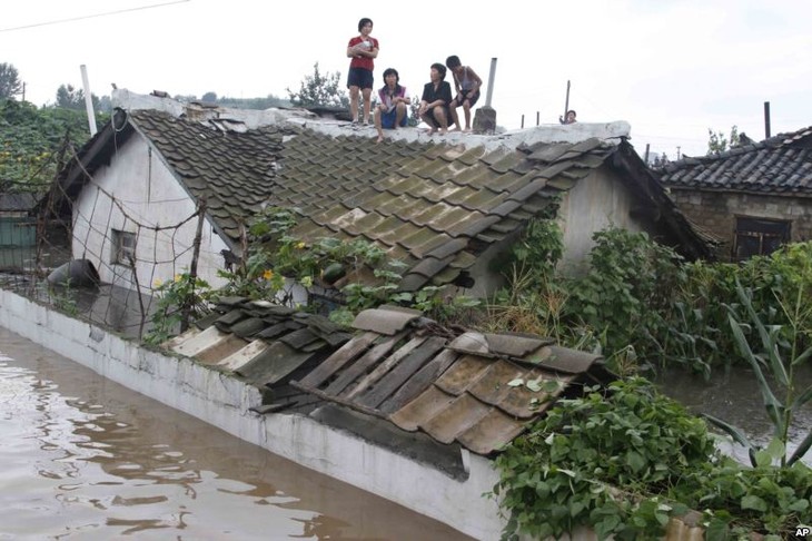 RDR Korea dan republik Korea sepakat membahas  kegiatan bantuan purna banjir - ảnh 1