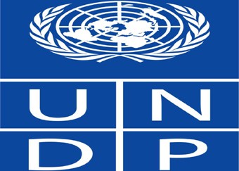 UNDP merekomendasikan  rencana 3 tahun di Myanmar - ảnh 1