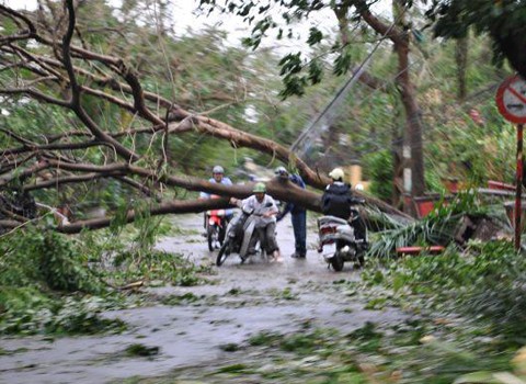 Terus mengatasi akibat taupan Son Tinh - ảnh 1