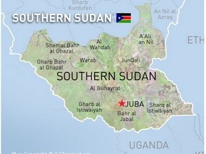 Perkembangan dalam perundingan antara Sudan Selatan dan Sudan. - ảnh 1