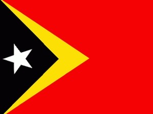 Timor Leste  memperhebat penyerapan  investasi dari ASEAN - ảnh 1