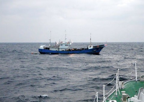 Jepang menahan satu kapal  Tiongkok yang  menangkap ikan secara tidak sah - ảnh 1