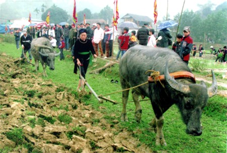 Piagam Warisan kebudayaan bukan kebendaan  nasional Pesta turun ke sawah - ảnh 1