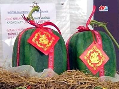 Penjelasan tentang melon berbentuk persegi - ảnh 2