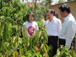  Deputi PM Vietnam, Vu Van Ninh melakukan kunjung  kerja di propinsi Dak Lak - ảnh 1