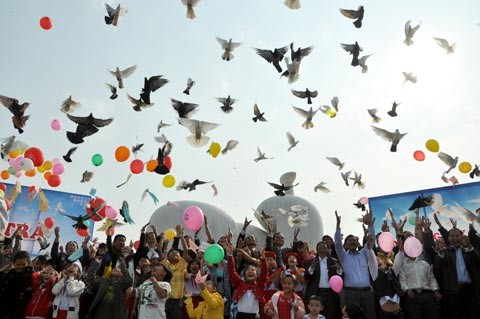 Penjelasan tentang hobi main melepas burung merpati di Vietnam - ảnh 1