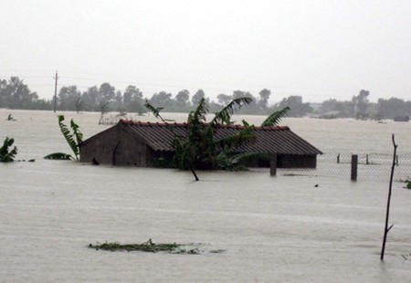 Vietnam menyambut hari Meteorologi  Dunia (23 Maret) - ảnh 1