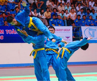 Penjelasan tentang Festival Olahraga Nasional di Vietnam - ảnh 5